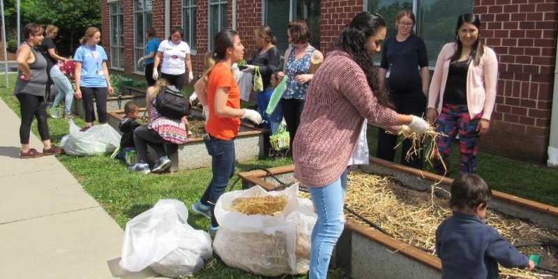 women planing raised garden beds