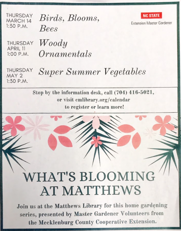 Matthews library flyer