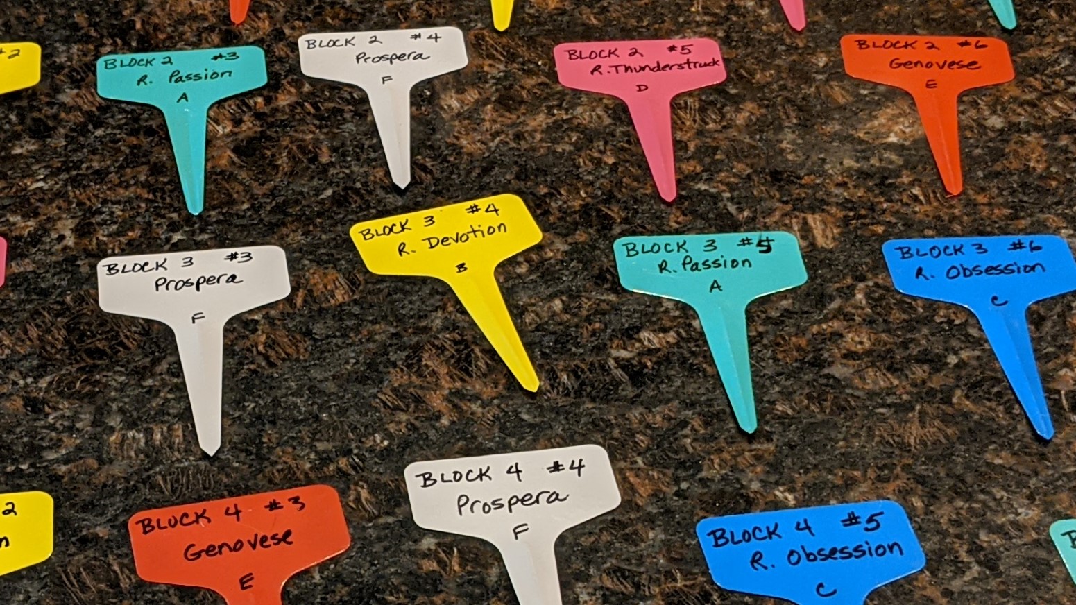 colored plant tags on a countertop