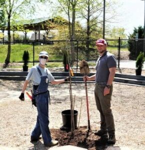 volunteers planting a tree
