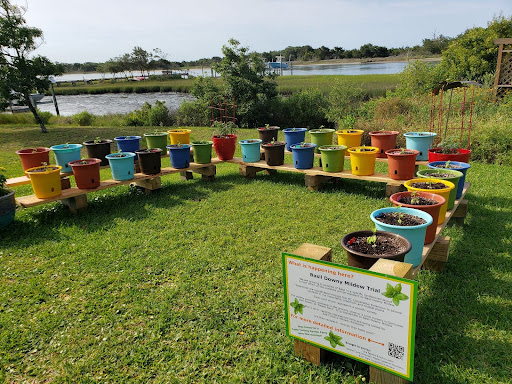 Pots of various colors with basil planted inside sit in a horseshoe shape. The sign in from of them notes that it is a mildew trial.