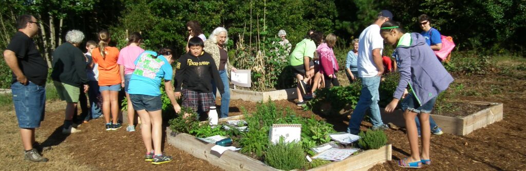 Adults and kids interact with plants in raised beds.