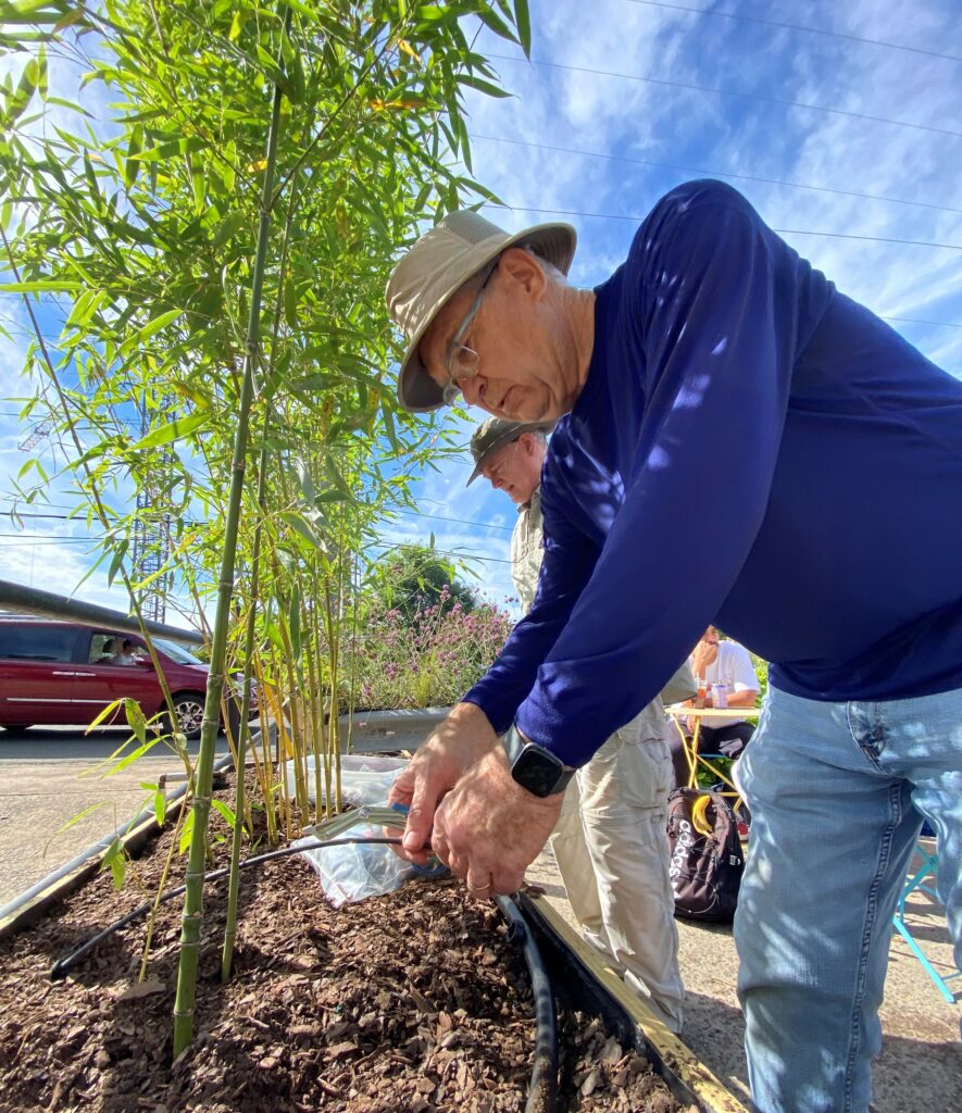 A man install irrigation tubes to a container of bamboo.