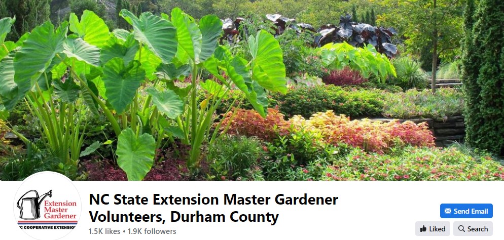 Banner images from the Facebook page of Extension Master Gardener Volunteers in Durham County