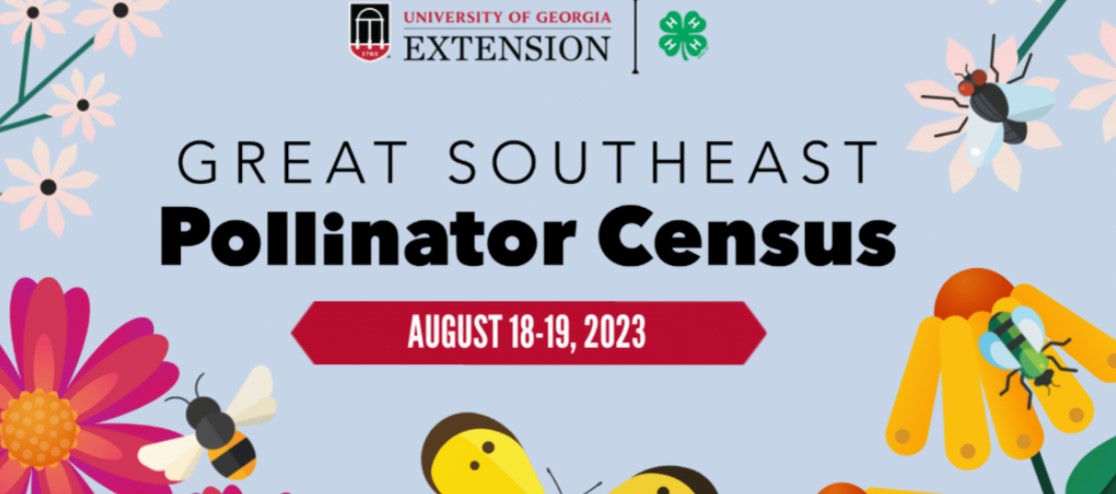 Colorful flyer announcing the date of the 2023 Great Southeast Pollinator Census