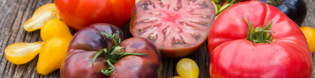 Collection of tomatoes of different sizes and colors.