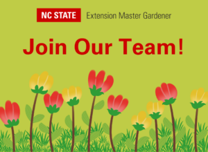 Green box with red and yellow flower border and the words "Join Our Team"